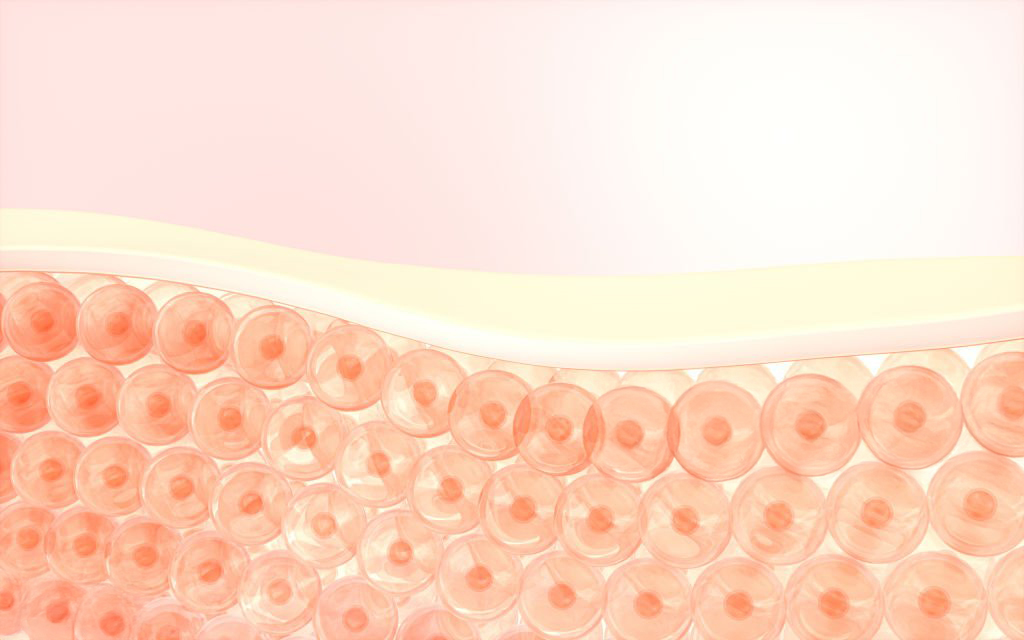 Cells and skin, 3d rendering. Computer digital drawing.