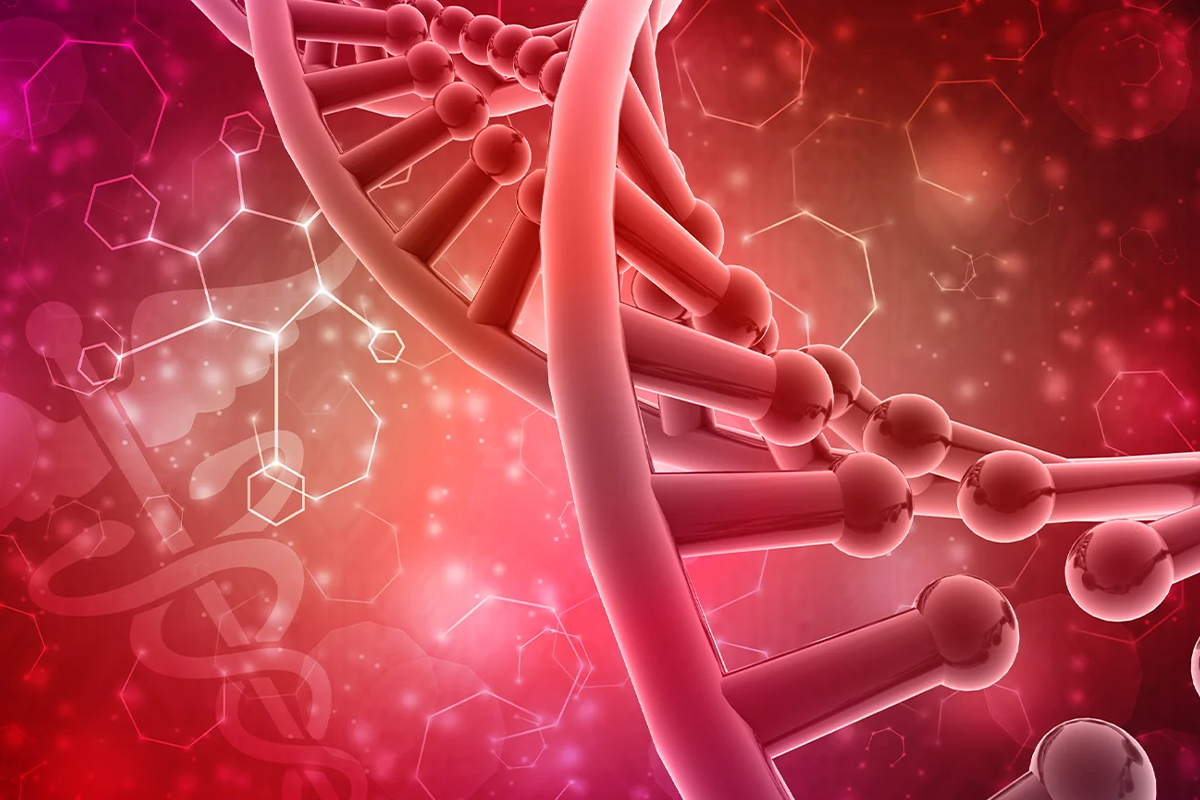 A double helix structure, which represents Deoxyribonucleic Acid (DNA)
