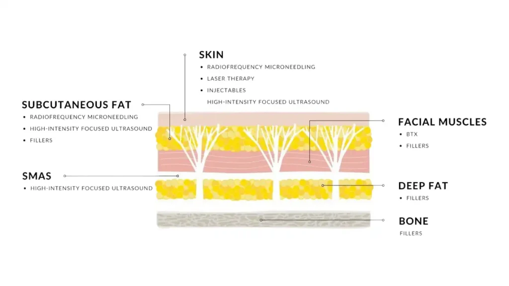 Layers of the skin